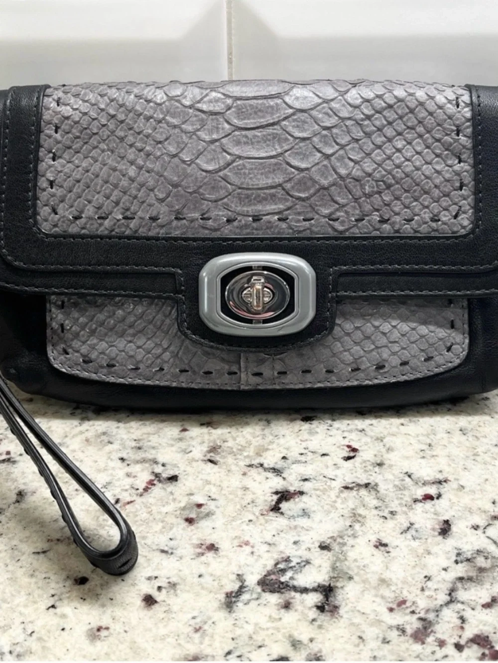 Coach Pinnacle Embossed Python Exotic Color Block Clutch/Wristlet EUC
